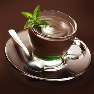 Kakaopulver (ohne Zuckerzusatz)