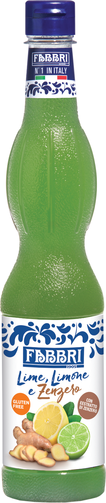 Sirup aus Limette, Zitrone und Ingwer 560 ml