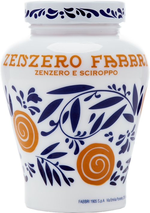 Zenzero Fabbri 600g