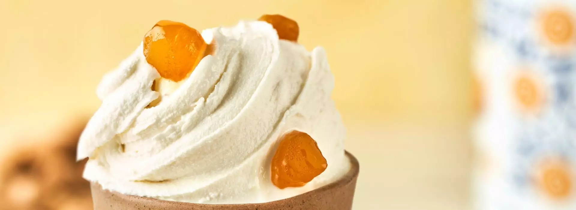 Zenzero Fabbri, eine Spezialität, die Ihre Gelateria-Kreationen zu einzigartigen Geschmackserlebnissen werden lassen.